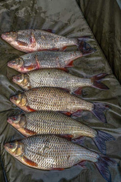 Unhooking Mat Korum Supa Lite Fast Mat XL -Korum 3f469879709ae6f5