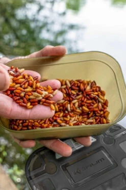 Korum Bait Tub Bait Box -Korum ae04d1afc215b7ab