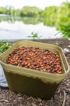 Korum Bait Tub Bait Box -Korum df0cfba95550a979